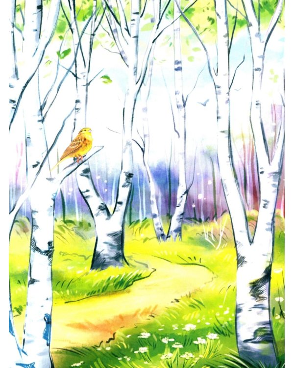 Птичий блог, или Когда твой папа  - орнитолог