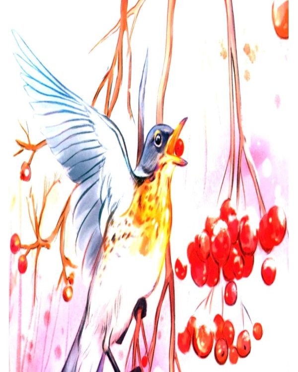 Птичий блог, или Когда твой папа  - орнитолог