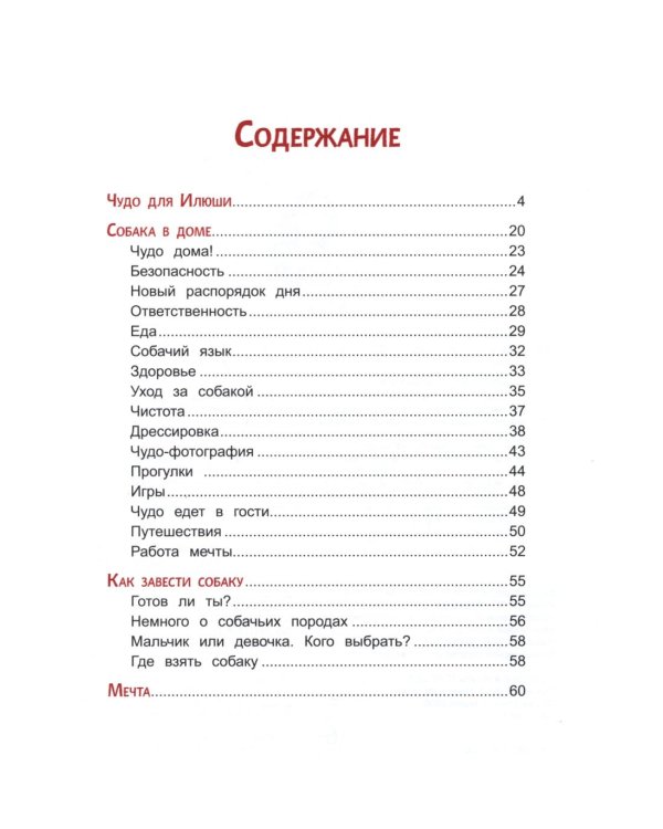 Моя собака - чудо!