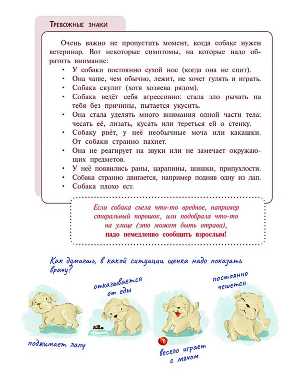 Моя собака - чудо!