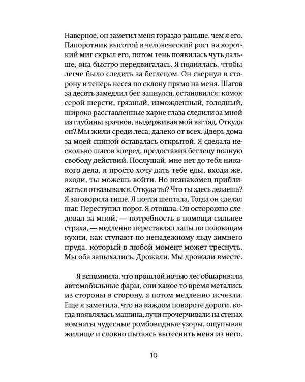 Собака за моим столом: роман