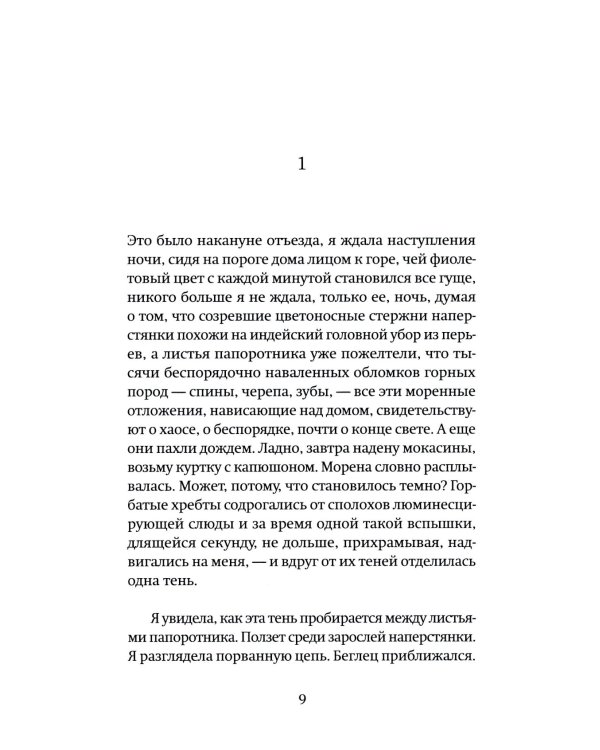 Собака за моим столом: роман