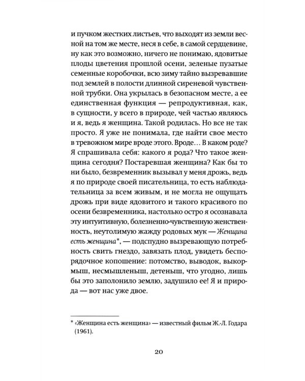 Собака за моим столом: роман