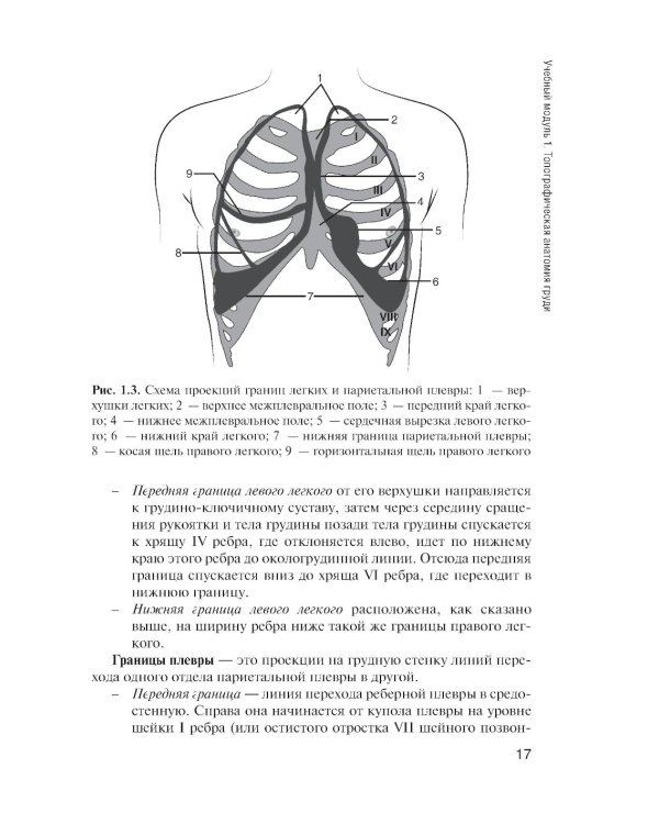 Топографическая анатомия: практикум для медицинских сестер по медицинскому массажу. 3-е изд., перераб. и доп