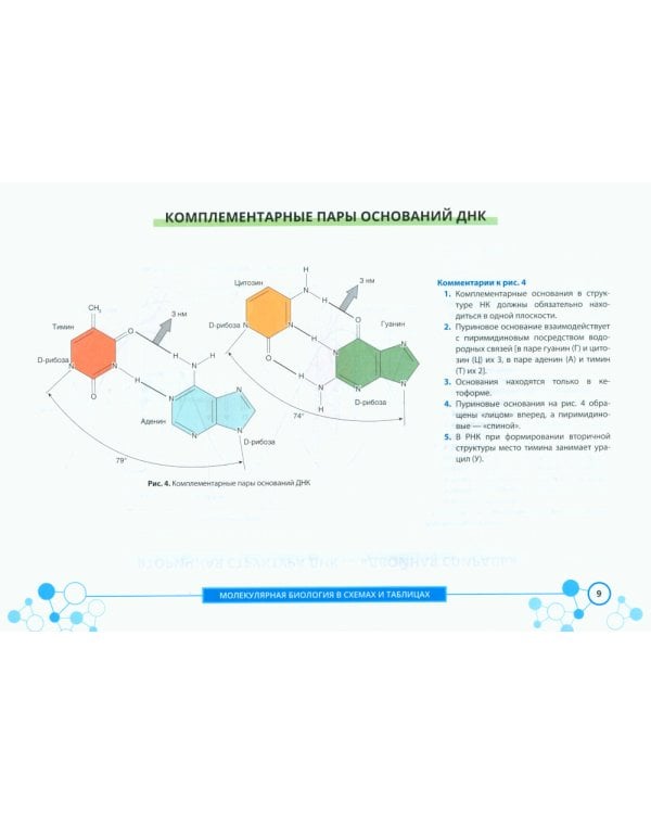 Молекулярная биология в схемах и таблицах