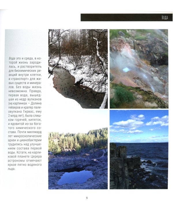 Рыцари Цереры. История эволюции в фотографиях Средней полосы