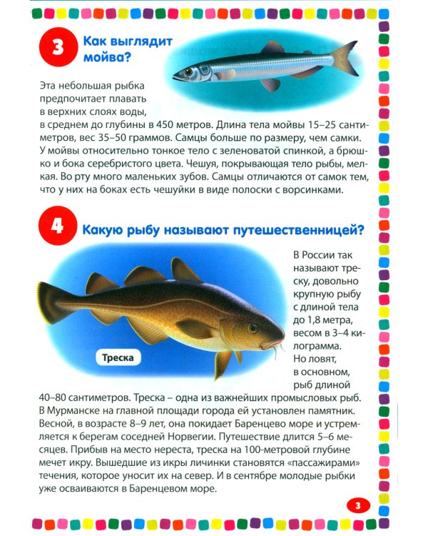 Подводный мир. Энциклопедия для детей от 5 до 9 лет