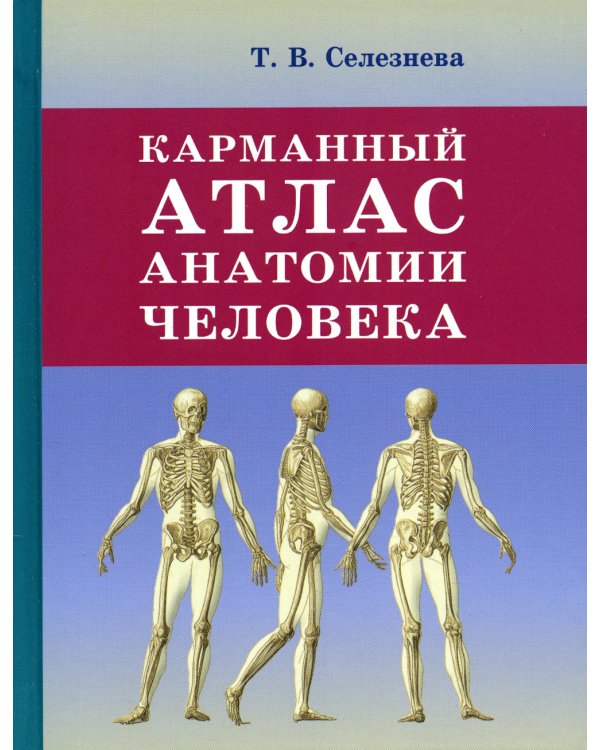 Карманный атлас анатомии человека