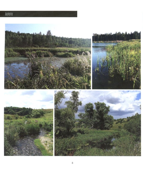 Рыцари Цереры. История эволюции в фотографиях Средней полосы