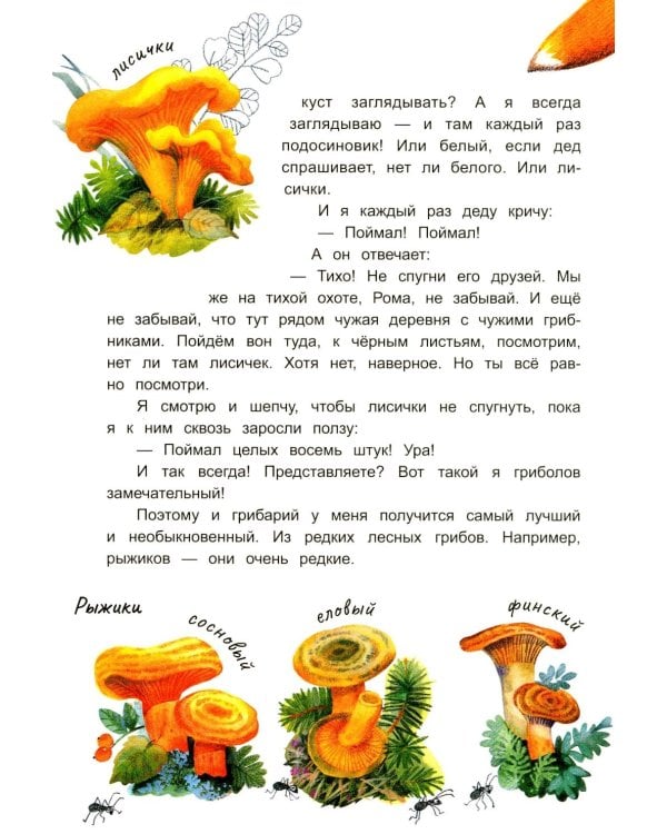 Грибной вождь