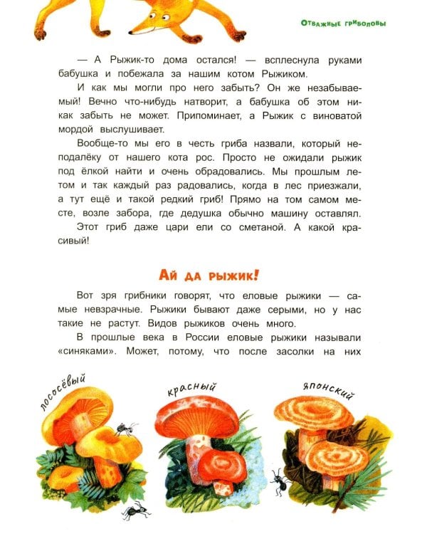 Грибной вождь