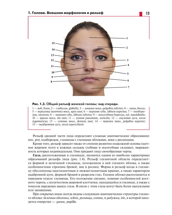 Анатомия головы (с нейроанатомией). Руководство для студентов медицинских специальностей вузов