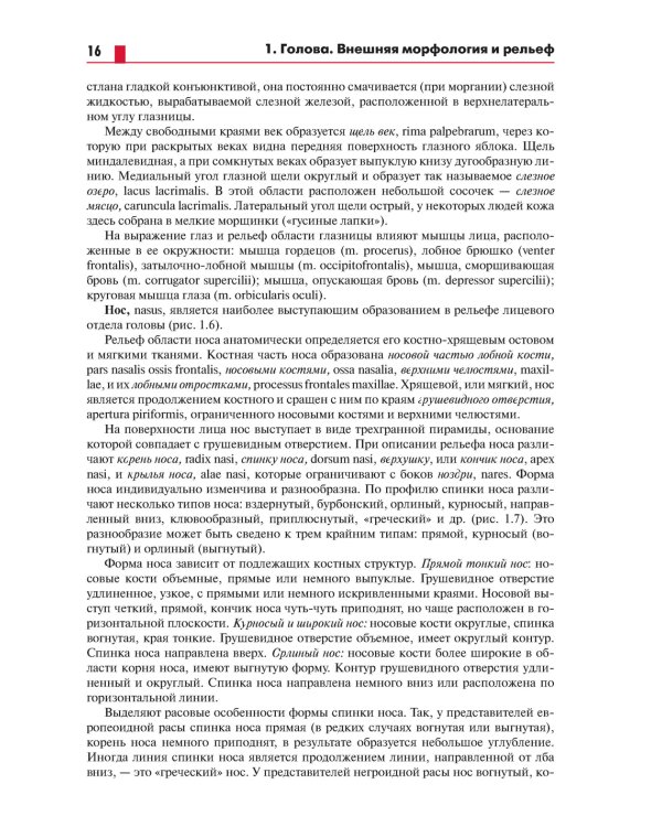 Анатомия головы (с нейроанатомией). Руководство для студентов медицинских специальностей вузов
