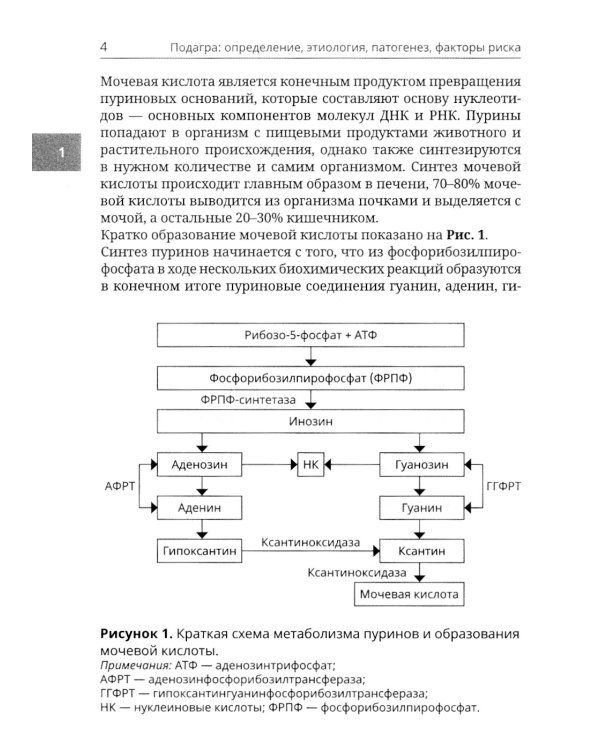 Подагра и бессимптомная гиперурикемия: Пособие для врачей