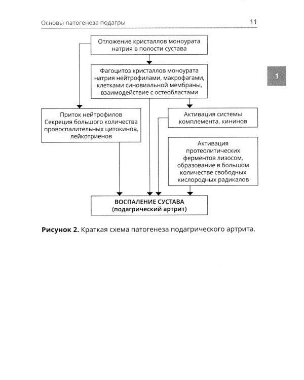 Подагра и бессимптомная гиперурикемия: Пособие для врачей