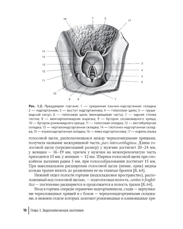 Бронхоскопия в непрофильном медицинском учреждении: методическое пособие