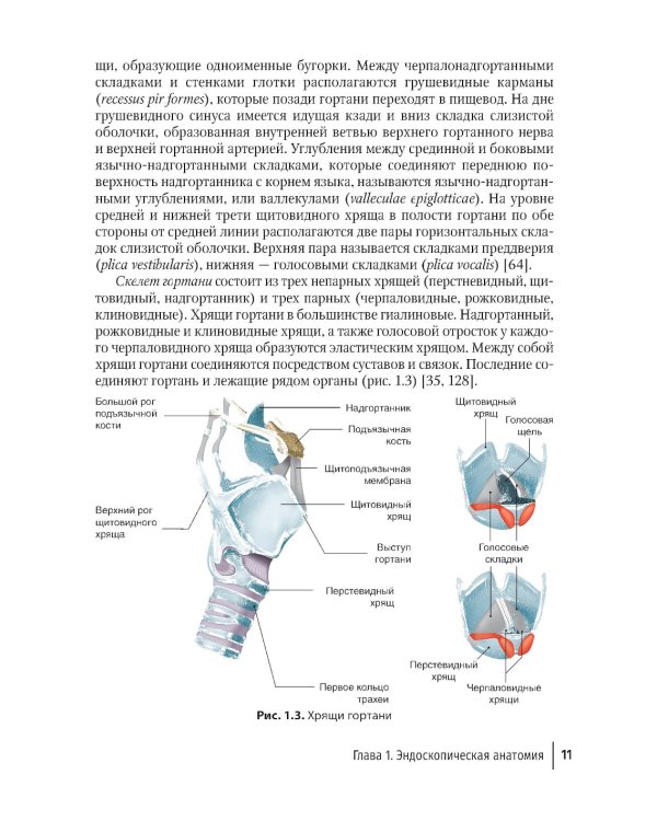 Бронхоскопия в непрофильном медицинском учреждении: методическое пособие