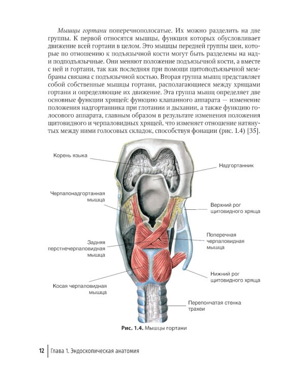 Бронхоскопия в непрофильном медицинском учреждении: методическое пособие