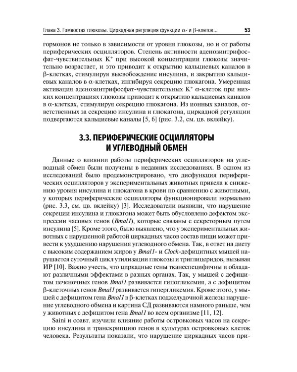 Ожирение. Современный взгляд на патогенез и терапию: Учебное пособие