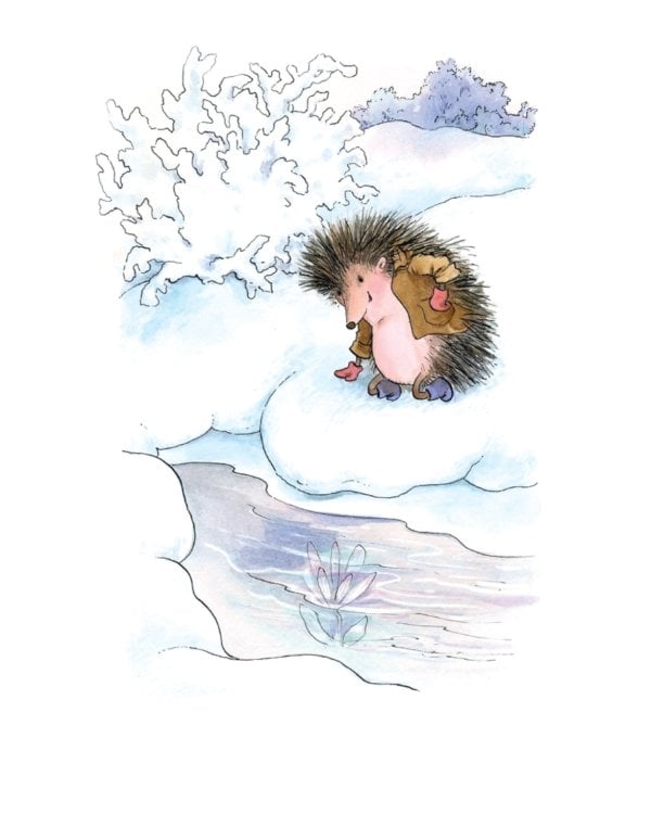 Ежик в тумане. Сказки