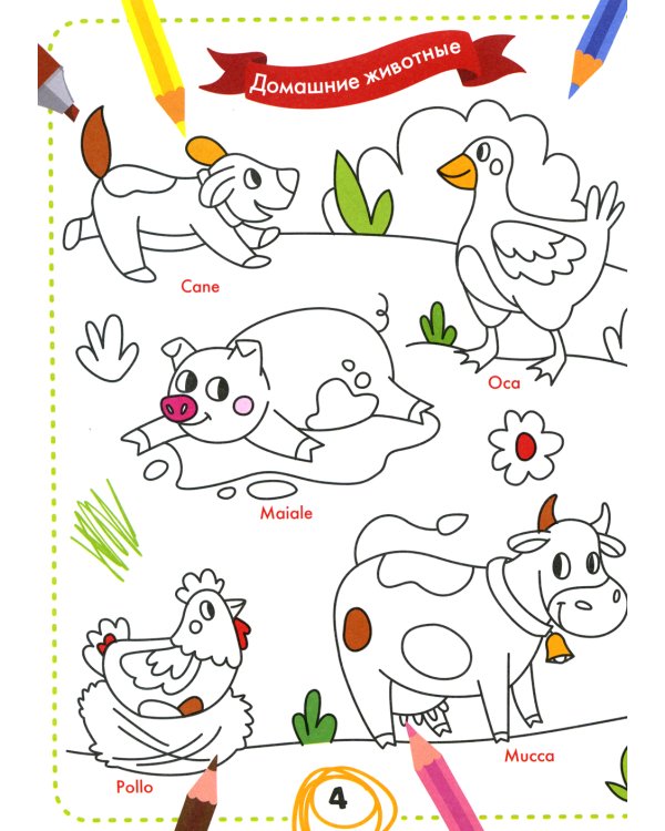 Раскрась и выучи слова: итальянский для малышей: книжка-раскраска