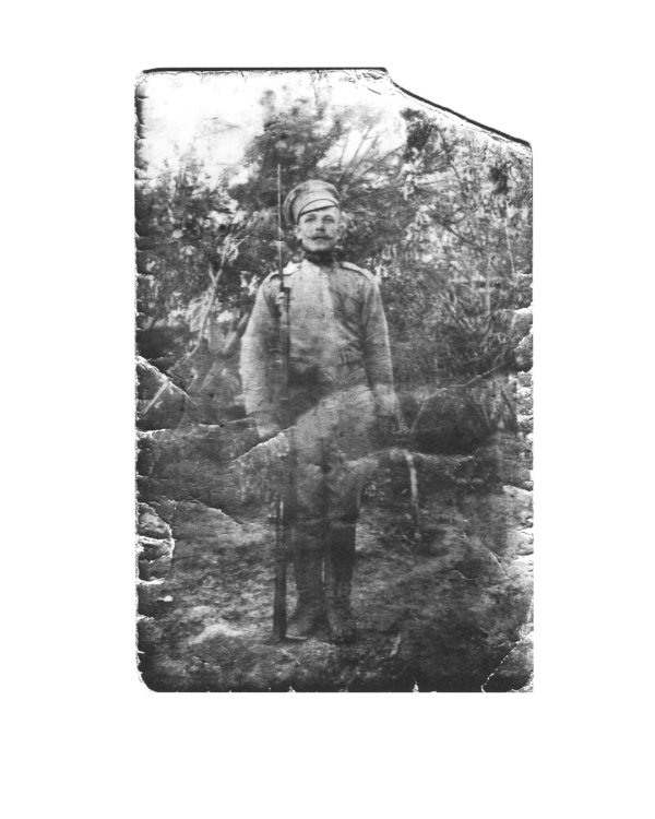 Полк и его сын: документы, воспоминания, художественная реконструкция