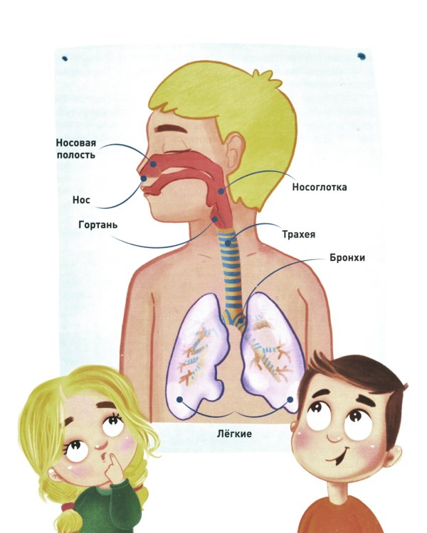 В поликлинику без слез. В стране врачей