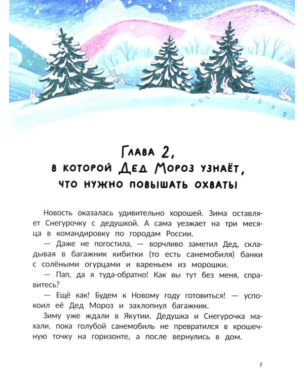 Чудо-блогер Дед Мороз