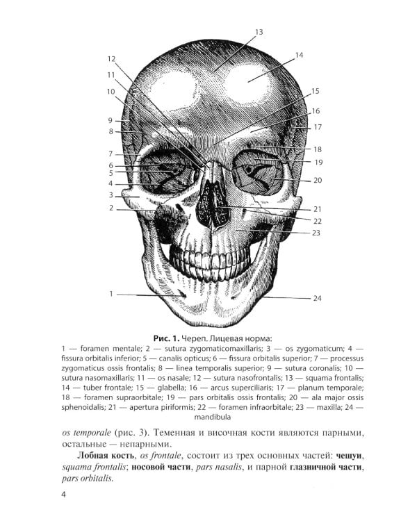 Клиническая анатомия черепа: Учебное пособие. 13-е изд., перераб. и доп