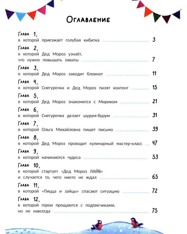 Чудо-блогер Дед Мороз