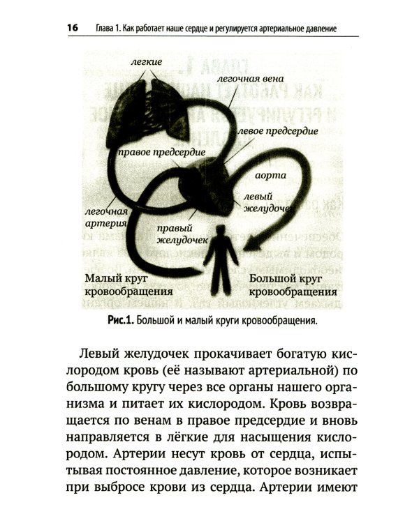 Повышенное давление, свет красный. Ответы на вопросы, которые вы хотели бы задать врачу