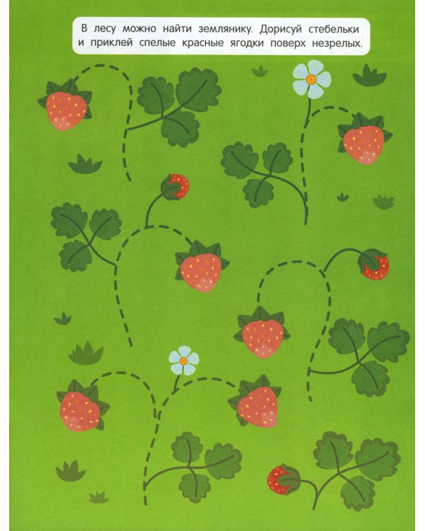 В лесу. Книжка с наклейками 1+