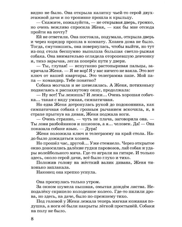 Тимур и его команда