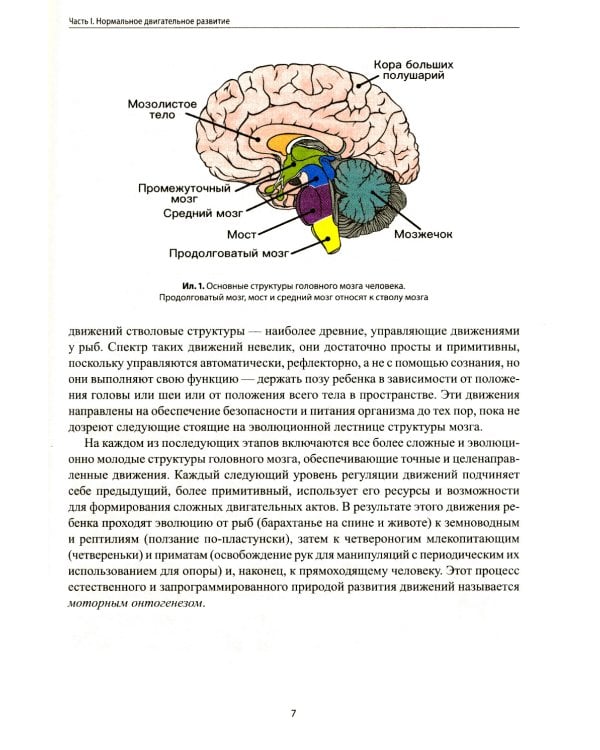 Не сидит, не ползет. Что делать?: рекомендации для специалистов и родителей малышей первого года жизни