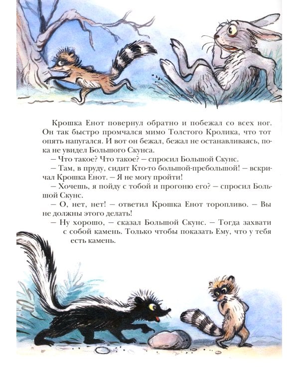 Крошка енот и тот, кто сидит в пруду