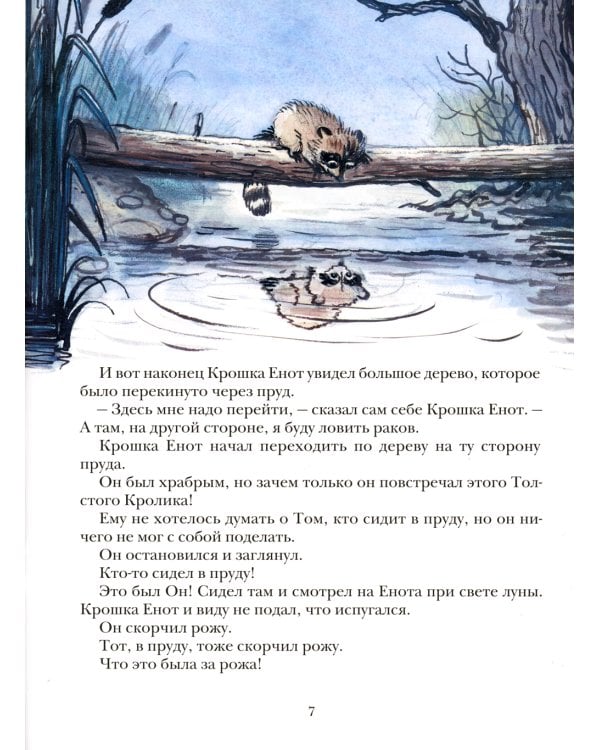 Крошка енот и тот, кто сидит в пруду