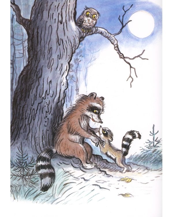 Крошка енот и тот, кто сидит в пруду