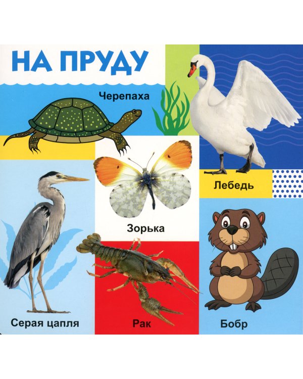 Твои любимые книжки. Животные