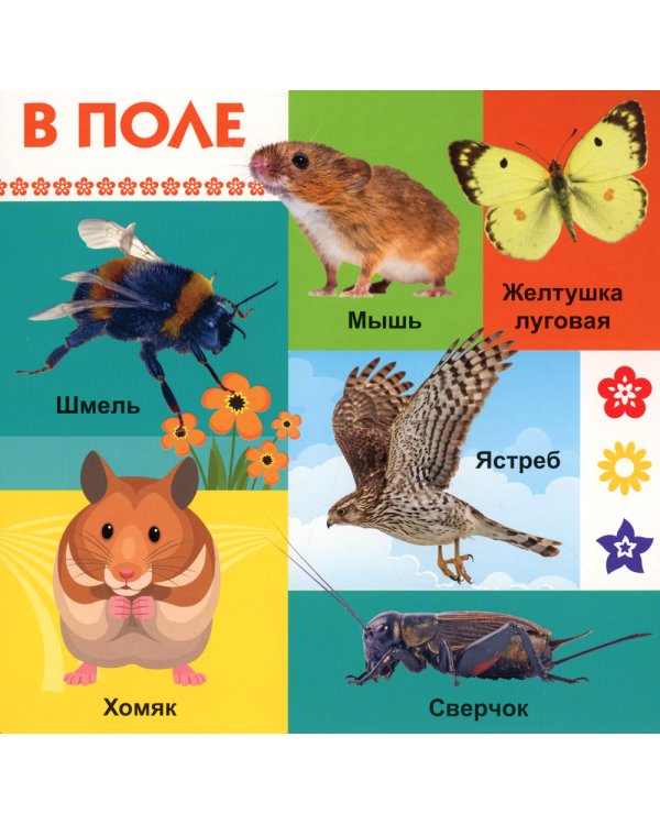 Твои любимые книжки. Животные