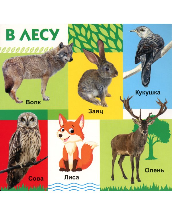 Твои любимые книжки. Животные