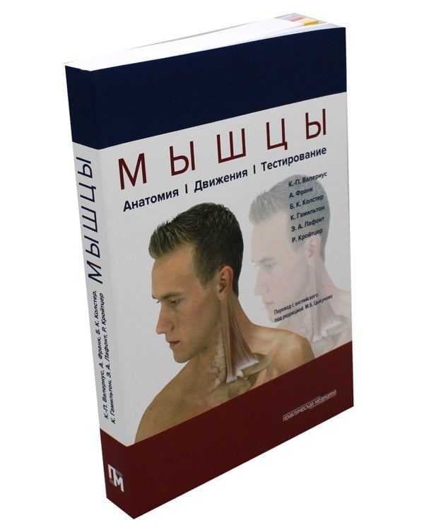 Мышцы. Анатомия. Движения. Тестирование