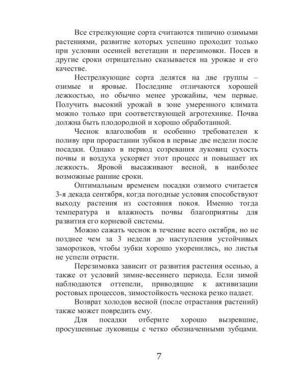 Все об обычном чесноке