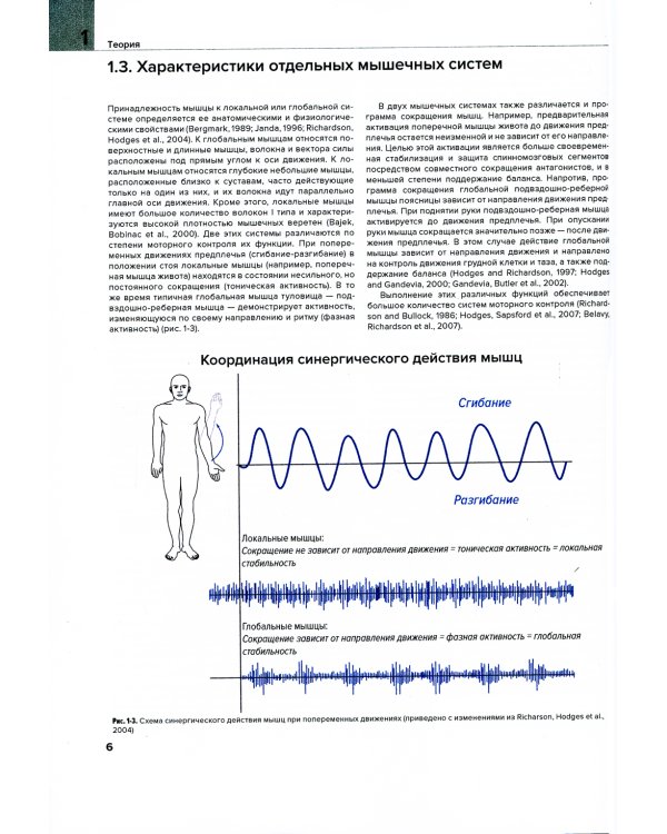 Мышцы. Анатомия. Движения. Тестирование