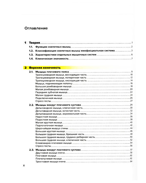 Мышцы. Анатомия. Движения. Тестирование