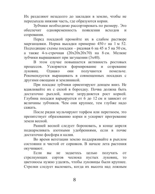 Все об обычном чесноке