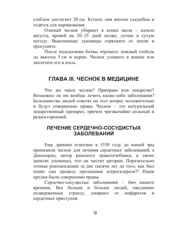 Все об обычном чесноке