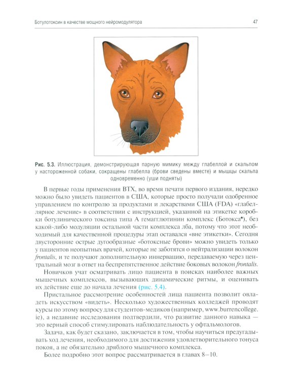 Применение ботулотоксина в процедурах по омоложению лица