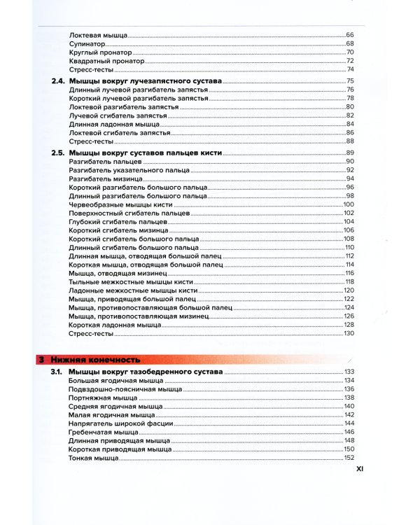 Мышцы. Анатомия. Движения. Тестирование