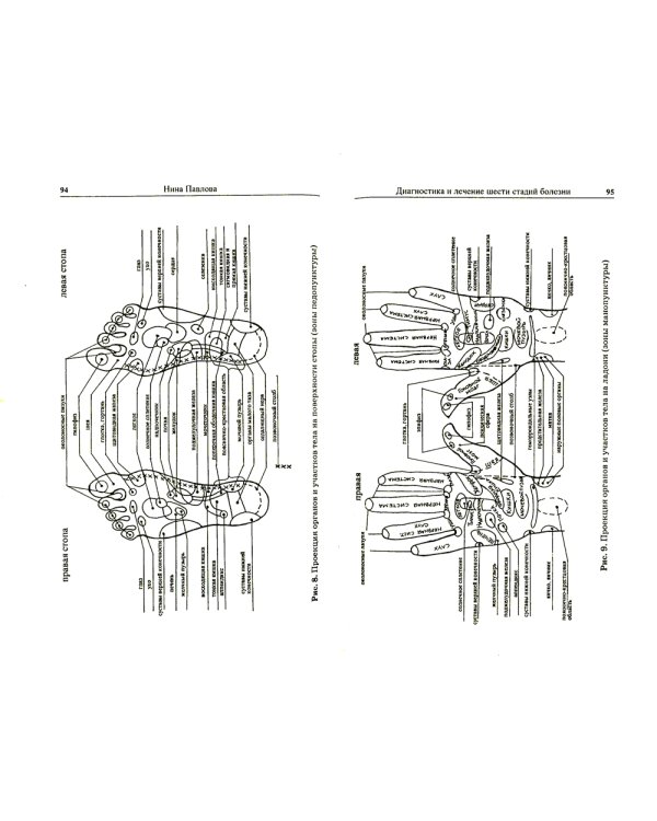 Диагностика и лечение шести стадий болезни