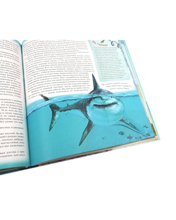 Экспедиция "Кон-Тики"